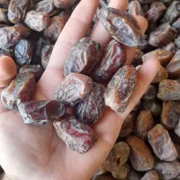 خرما کبکاب دانه درشت
