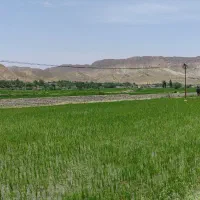 فروش خانه ویلایی در شهرستان