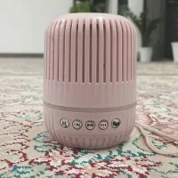 اسپیکر بلوتوثی فلش خور