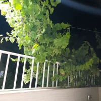 فروش-آپارتمان-بر-خیابان-حائری-باجک