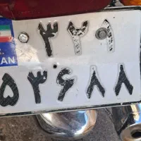 پلاک گم شده