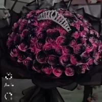 سرخابی