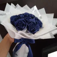 مربوط به عکس