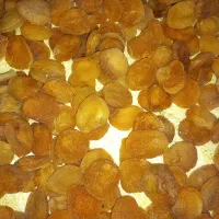 قیسی|عمدهفروشی|آذرشهر, |دیوار
