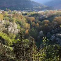 سرایدار افغانی نیمه وقت