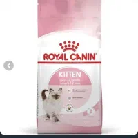 غذای خشک بچه گربه رویال کنین طعم مرغ مدل Kitten
