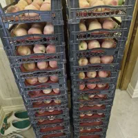هلو درجه یک ۱۲۰