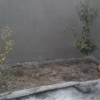 پلاسترکار