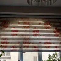 پرده زبرا