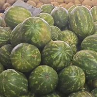 فروشنده تره بار