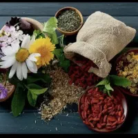 کار درمنزل تنها با گوشی