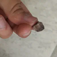 سنگ