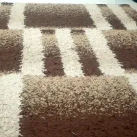 گلیم فرش شگی پرز بلند