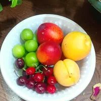 گیلاس|خوردنی و آشامیدنی|مشهد, سیسآباد|دیوار