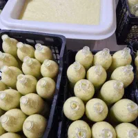 آبلیمو طبیعی تازه