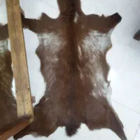 پوست بز طبیعی