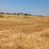 کاه گندم فروشی