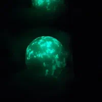 گوهر شب چراغ