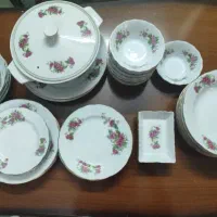 ظروف گل سرخی ۴۸عددی