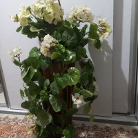 گلدان
