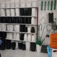 قیم نگهدارنده گیره پتوس گلدان مستطیلی گلدانکده