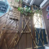 دیزاین.دکور.گل طبیعی.