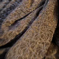 پرده|پرده، رانر، رومیزی|رشت, آزادگان|دیوار
