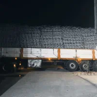 حفاظ روی دیوار شاخگوزنی بوته خاری