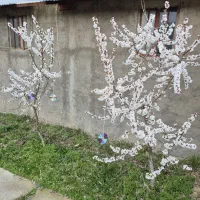 فروش-زمین-ویلایی-و-دارای-سوله-ساختمان-مهندسی