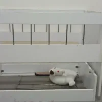 تخت گهواره ای