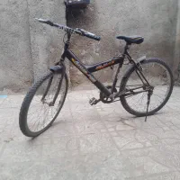 رخش مشکی|دوچرخه، اسکیت، اسکوتر|تربت جام, والفجر|دیوار