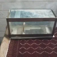 اکواریوم