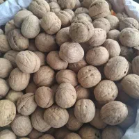 گردو 52 درصد بار لوکس