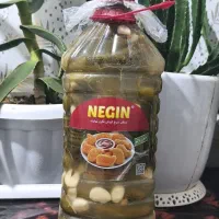 خیارشور