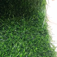 چمن مصنوعی نو