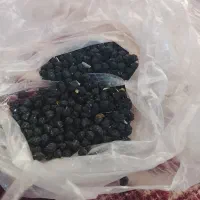 نخودسیاه