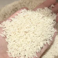 برنج هاشمی