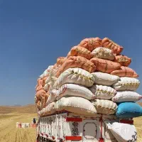 خرید وفروش کاه گندم