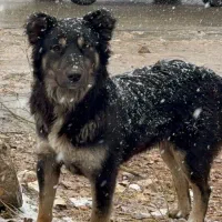 ژرمن . قدرجونی . سرابی