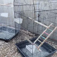 قفس|لوازم جانبی حیوانات|آبپخش, |دیوار