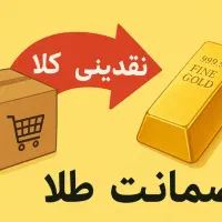 پرداخت نقدینگی خرید کالا