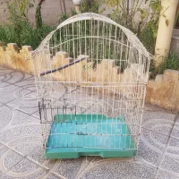 قفس پرنده بزرگ و جا دار