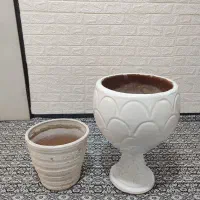 گلدون|گل و گیاه طبیعی|فردیس, منظریه|دیوار