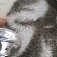 انگشتر|جواهرات|نهاوند, |دیوار