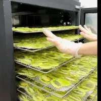 کسب کار موفق با دستگاه خشک کن میوه سبزی پیلسا