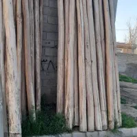 چوب سقفی|عمدهفروشی|بکتاش, |دیوار