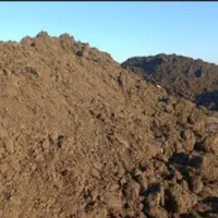 کود گوسفندی از دامداری