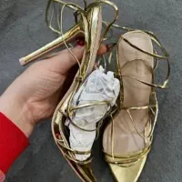 کفش مجلسی