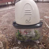 آبمیوه گیری سالم و دستگاه خوردکن غذاساز