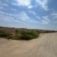 زمین هکتاری